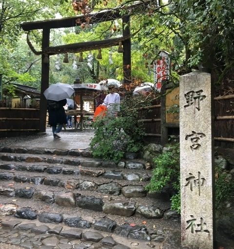 ペンジュラムで決めた京都旅行　～①野宮神社～